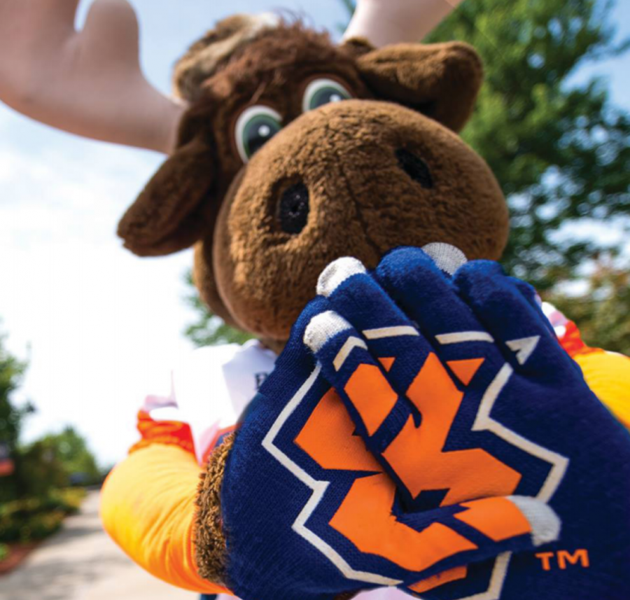 The first 1,000 people to register for Homecoming will recieve these specially
designed gloves. Photo by Jamie Callari