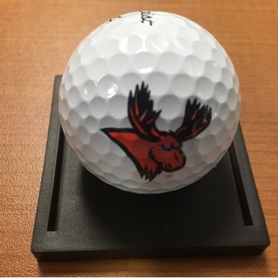 Fall sports preview: Golf