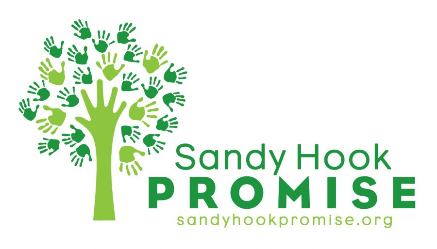 Source%3A+sandyhookpromise.org