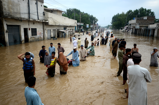 Pakistans citizens treading through the floods.
(ScientificAmerica.com)
