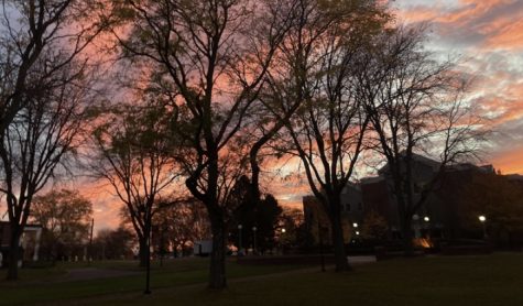 Utica University Campus in the Evening / Photo: Alexis Chrysler

