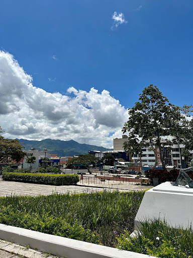 Outdoors in Costa Rica. 
