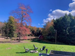 Fall foliage on display in Liberty, New York. Photo by Online/Social Media Editor Syamimi Anuar.