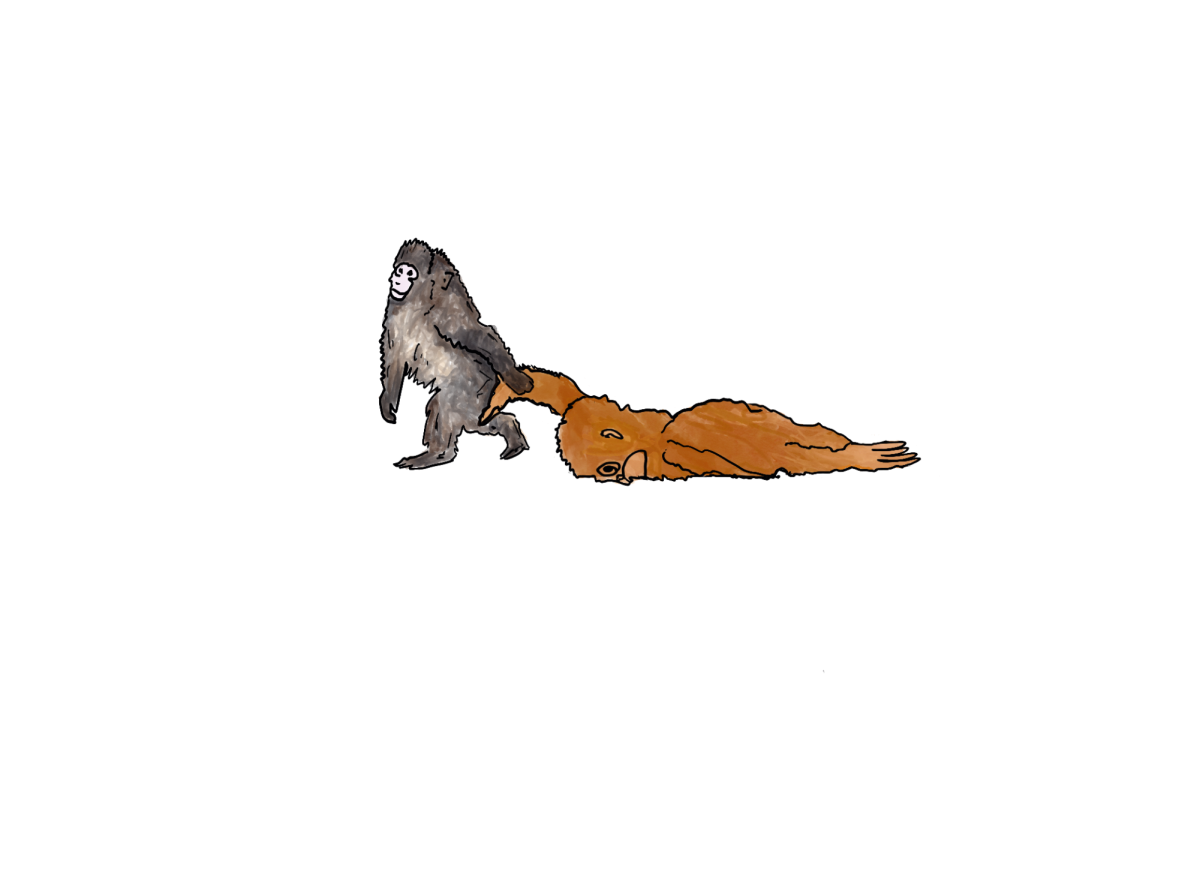 Graphic illustration by Chloe Needham Potts